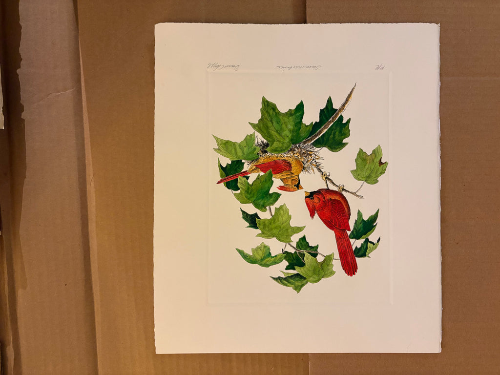 Prints By Dave Chapple