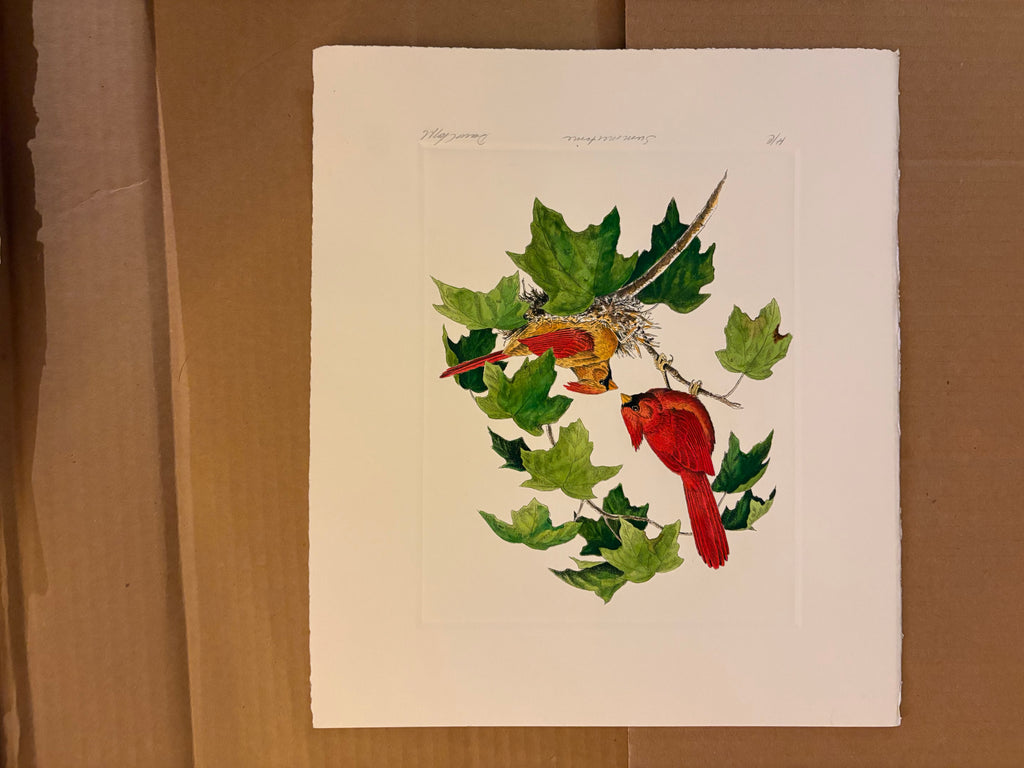 Prints By Dave Chapple