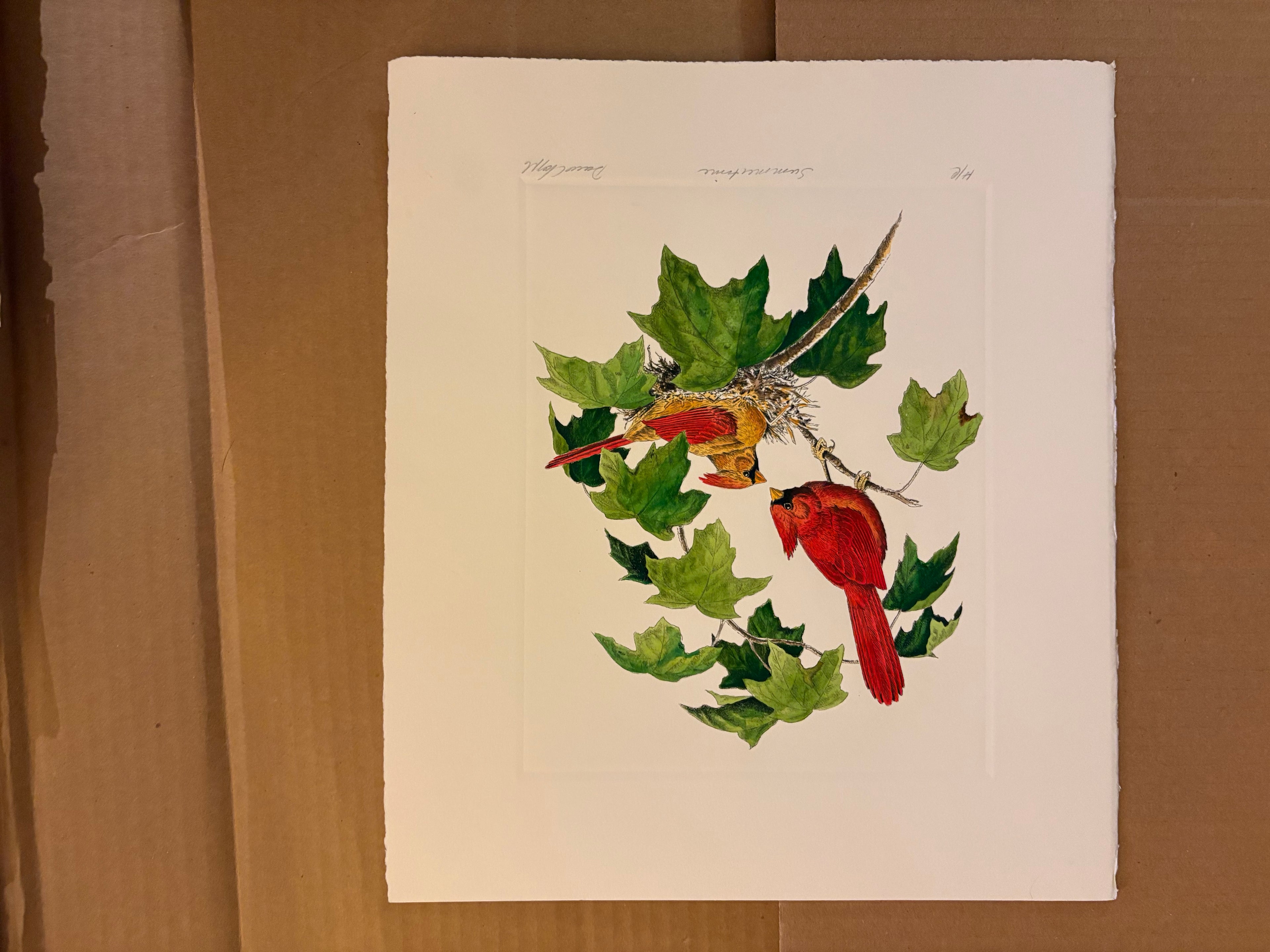 Prints By Dave Chapple