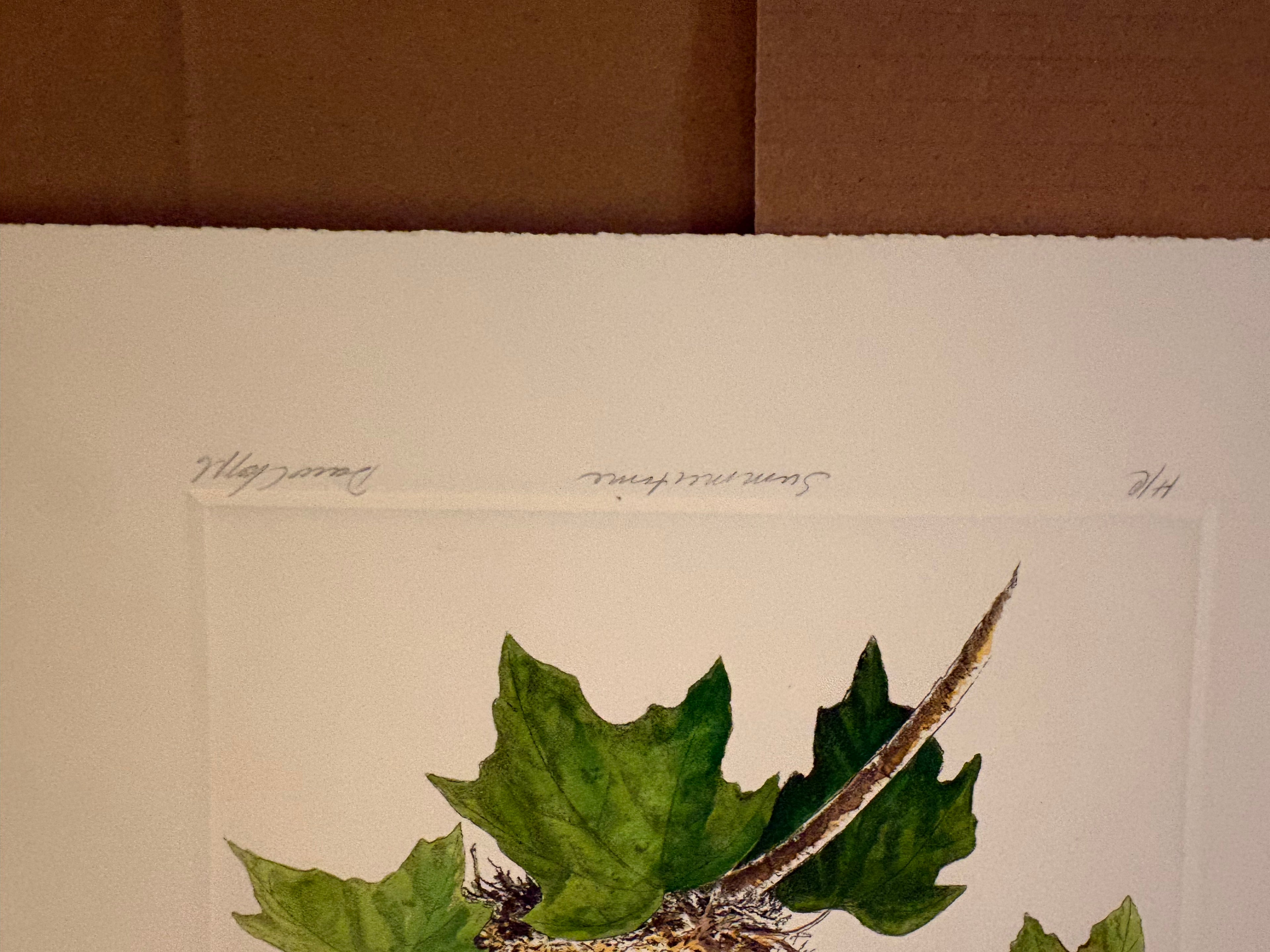 Prints By Dave Chapple
