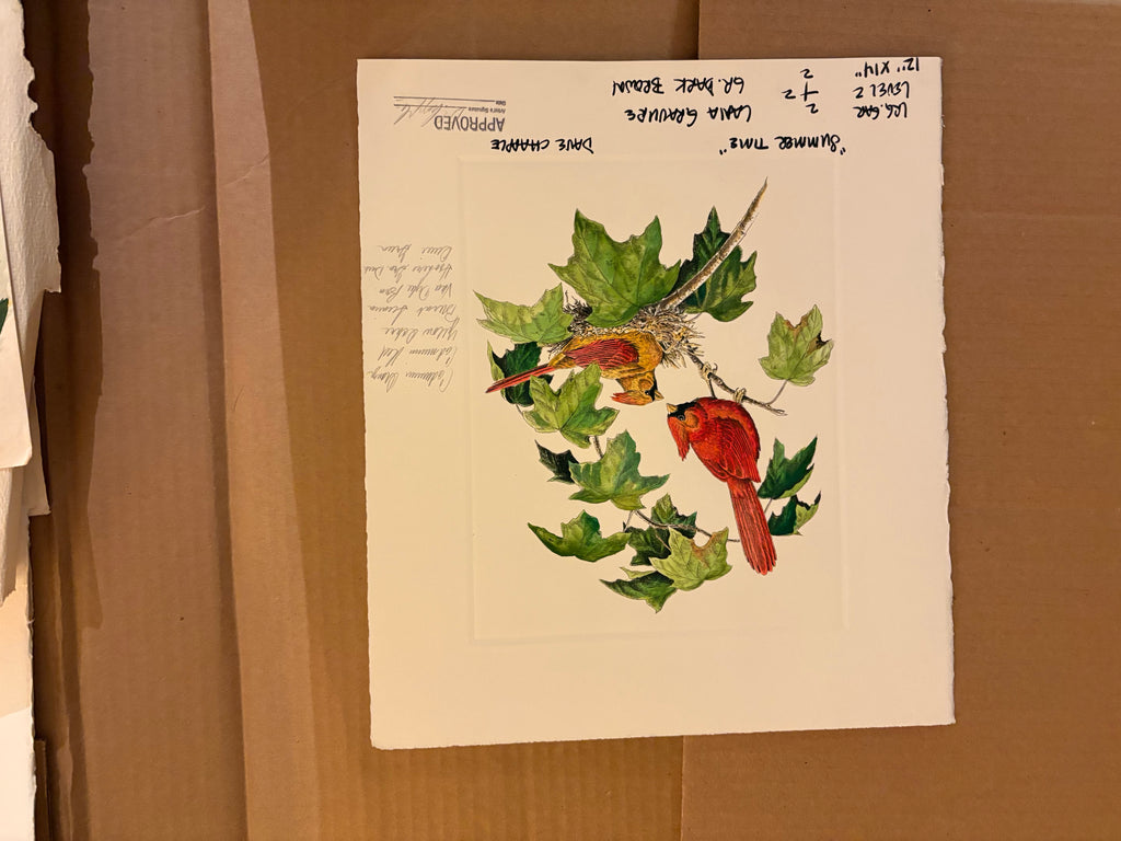 Prints By Dave Chapple