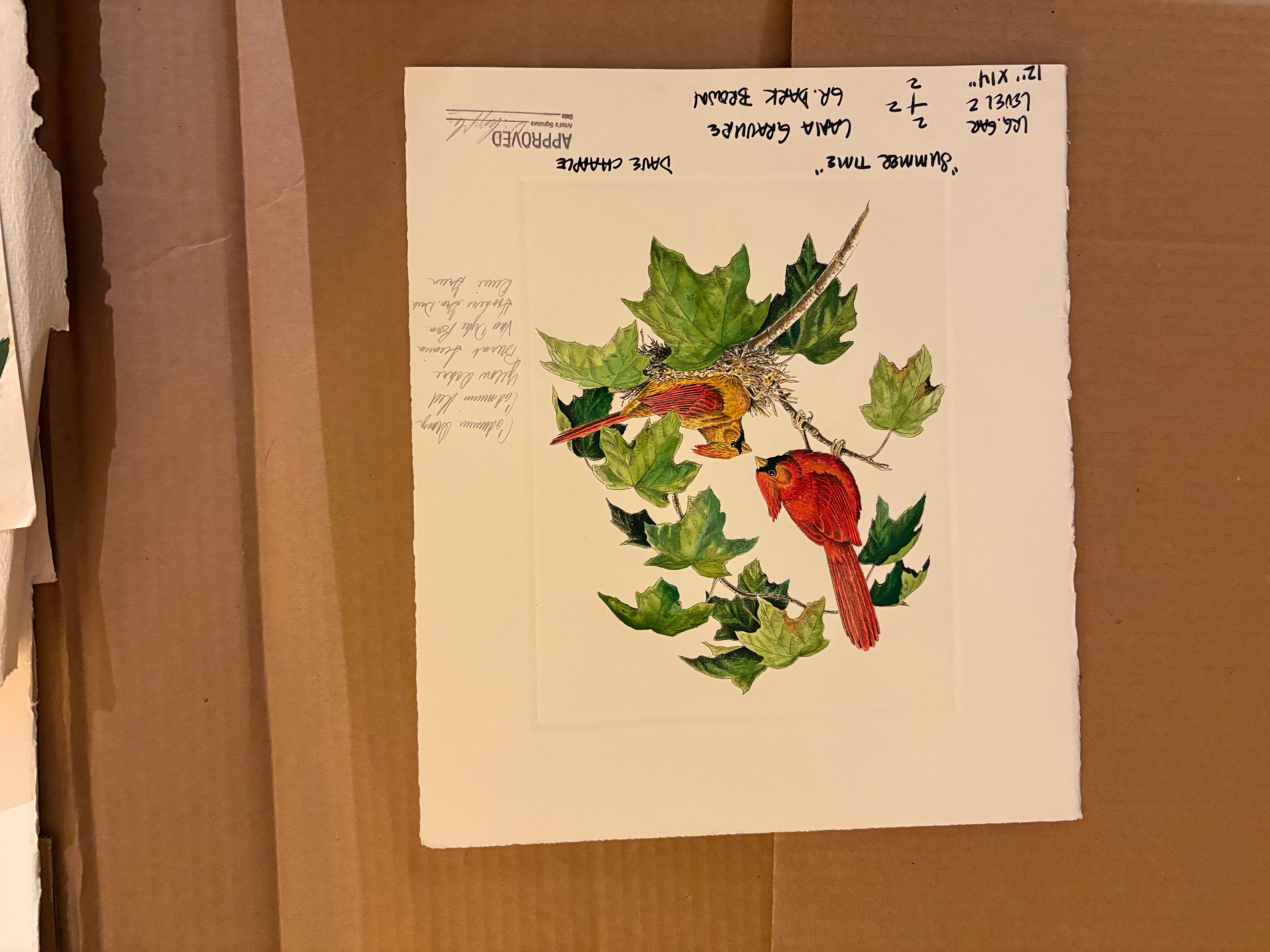 Prints By Dave Chapple