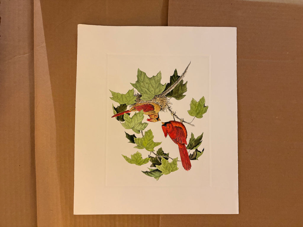Prints By Dave Chapple
