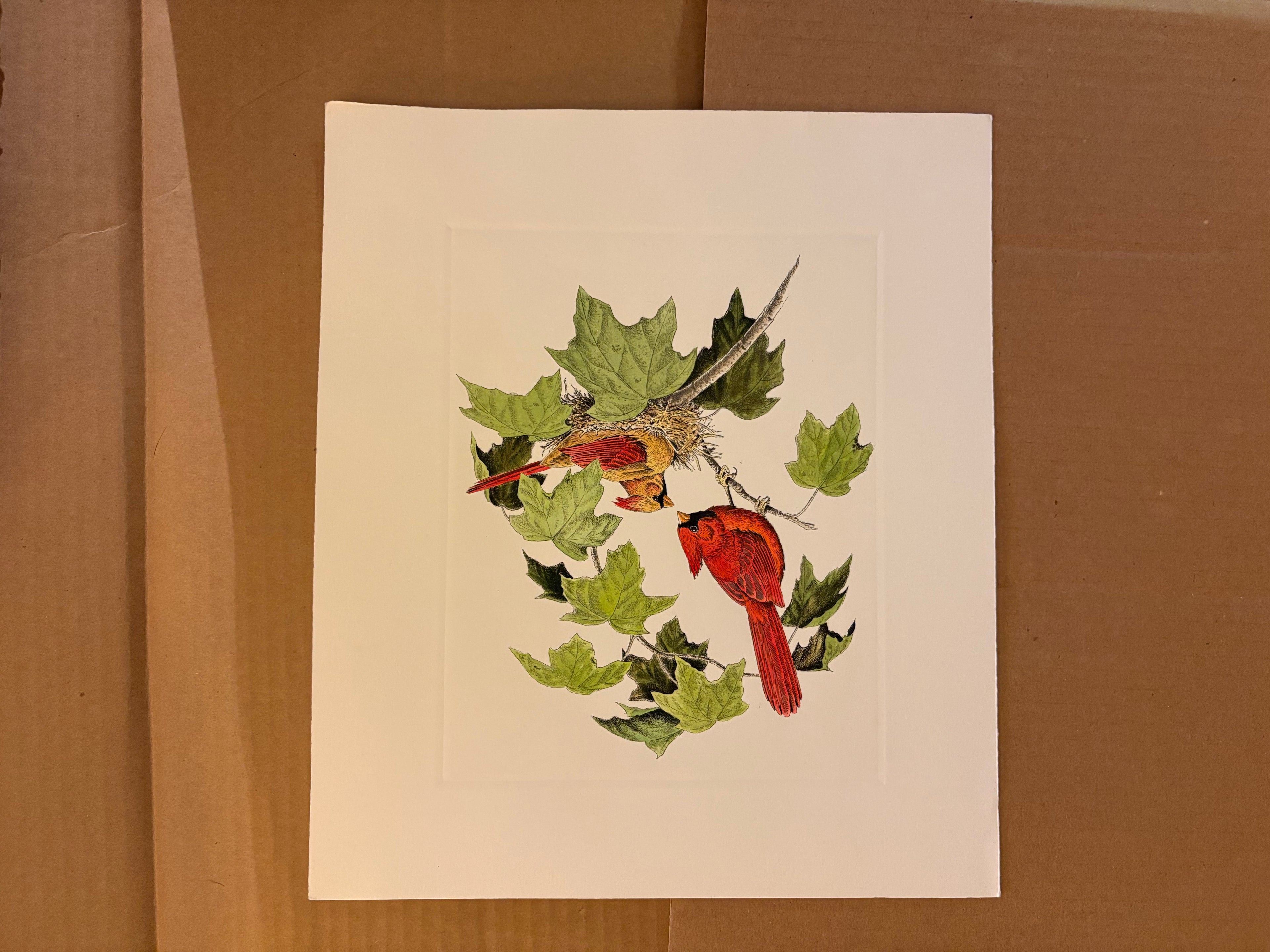 Prints By Dave Chapple