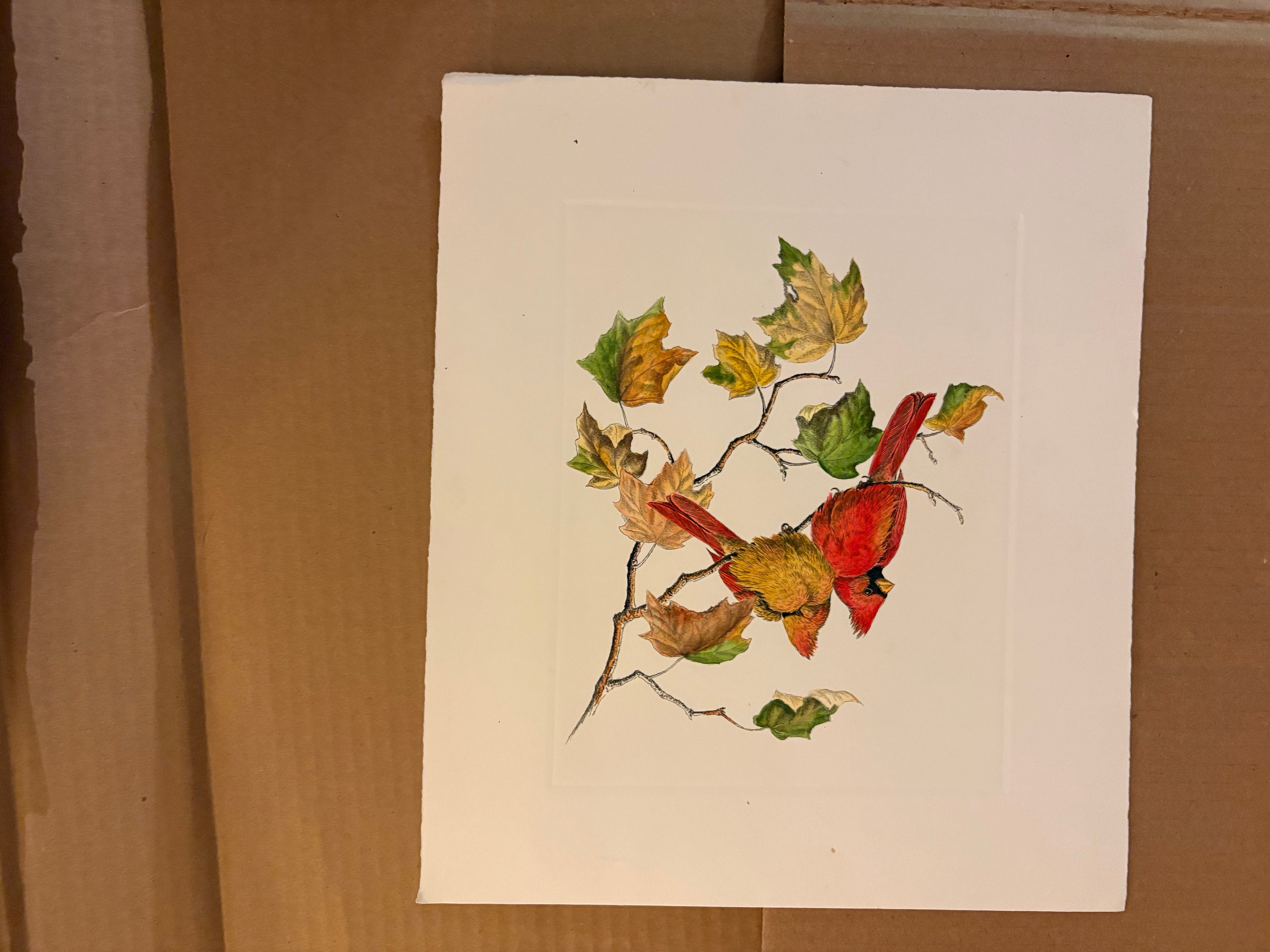 Prints By Dave Chapple