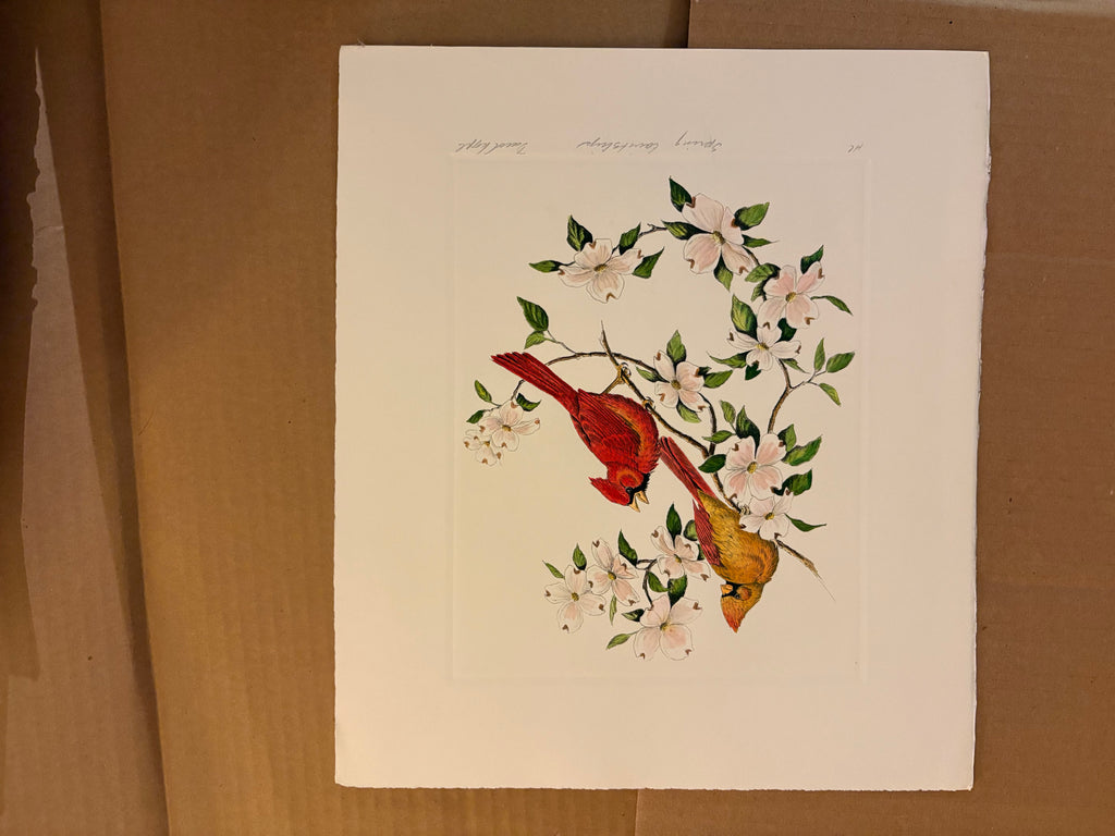 Prints By Dave Chapple