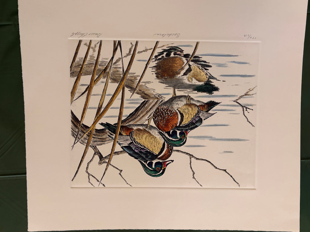Prints By Dave Chapple