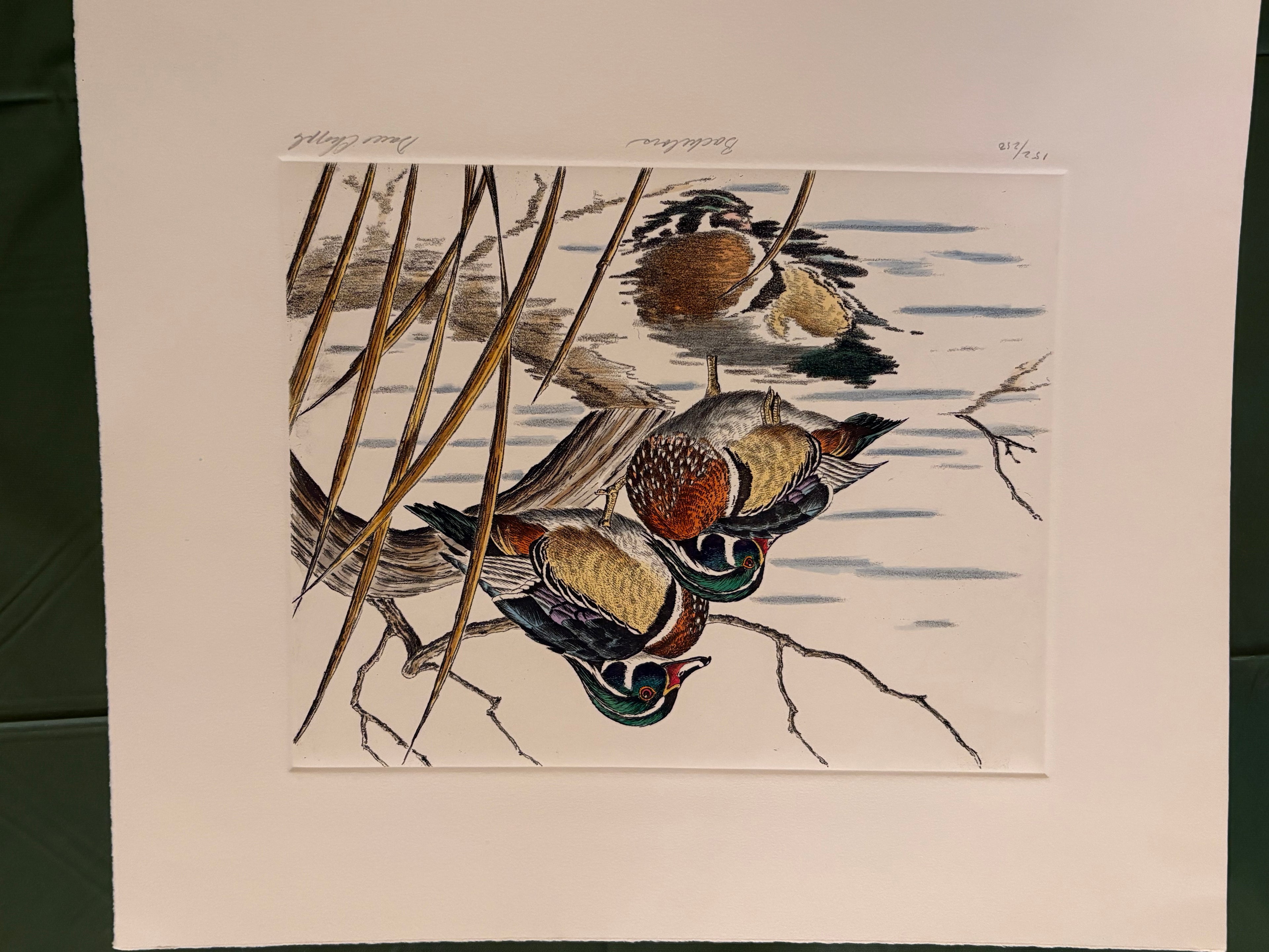 Prints By Dave Chapple