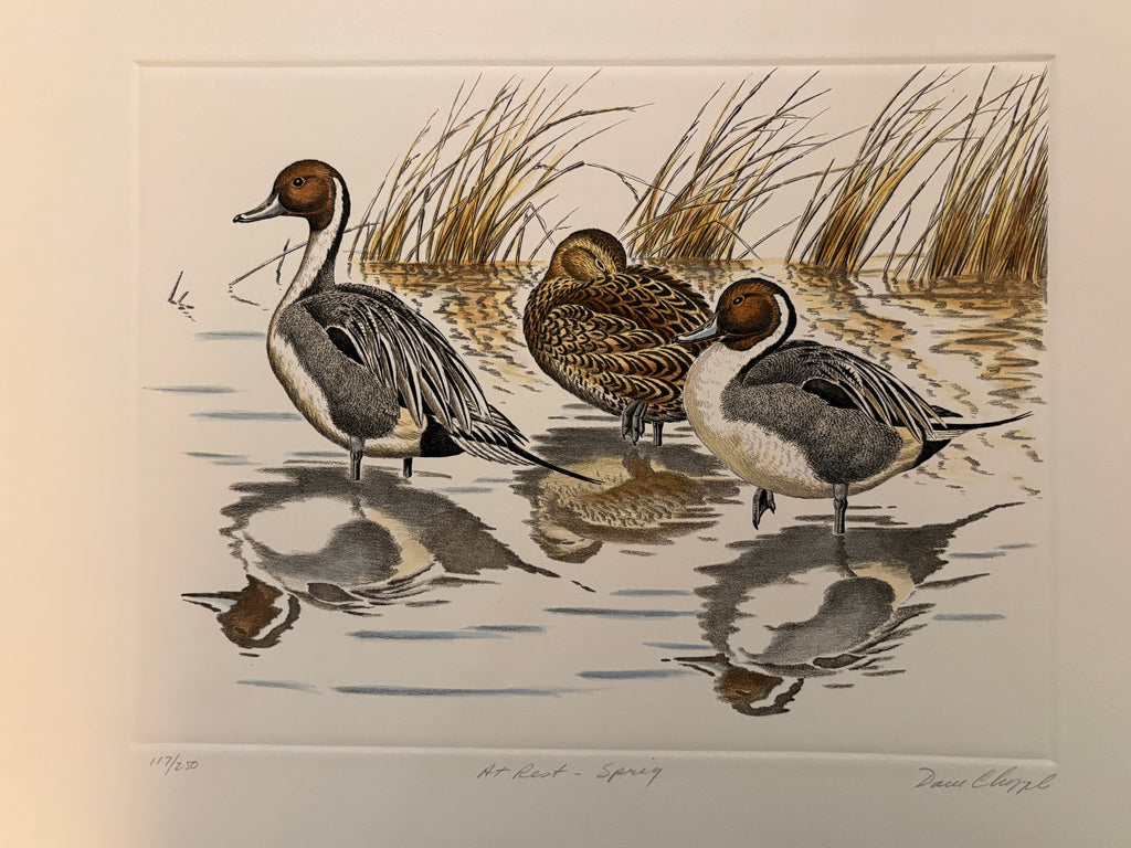 Prints By Dave Chapple