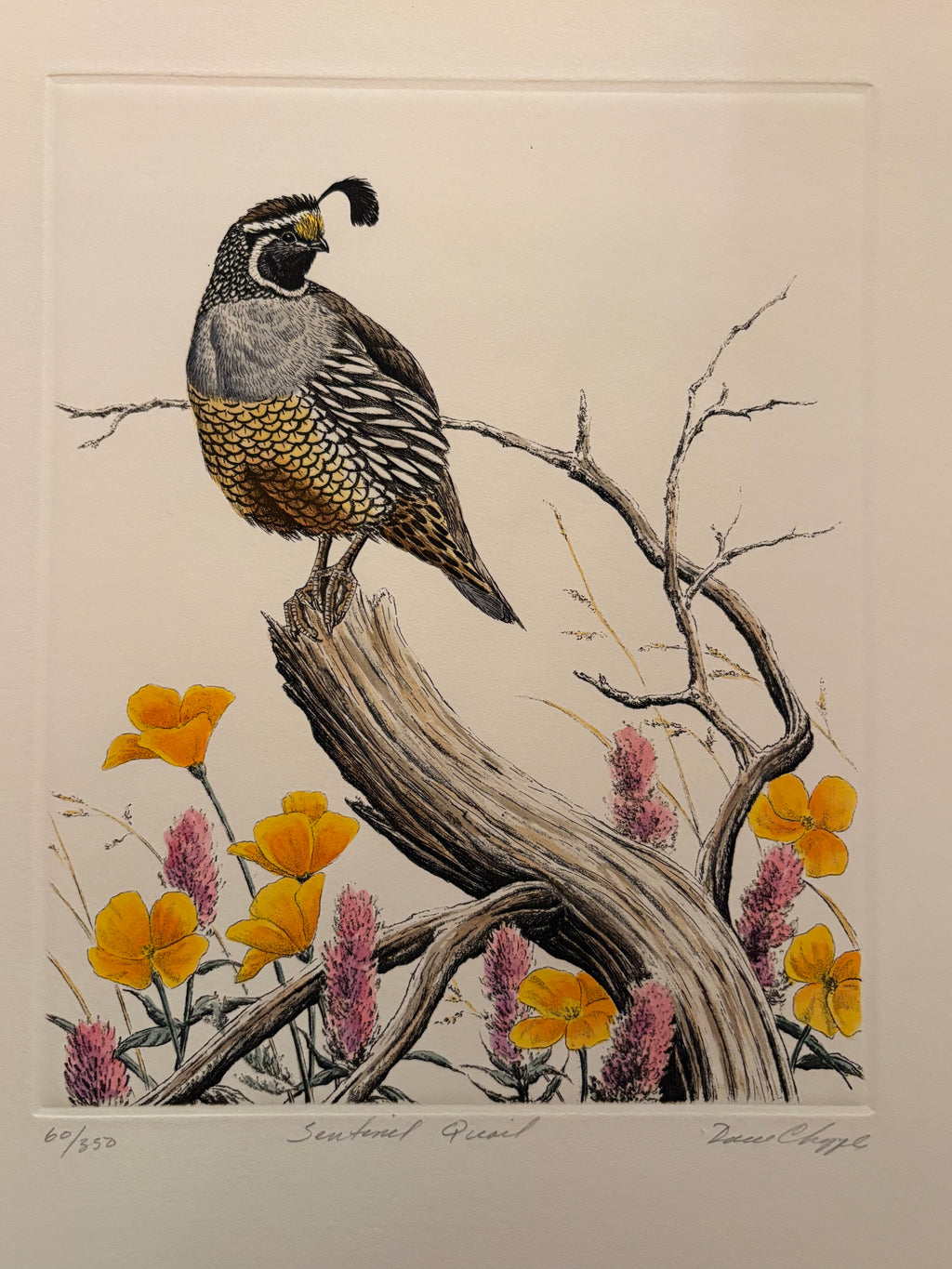 Prints By Dave Chapple