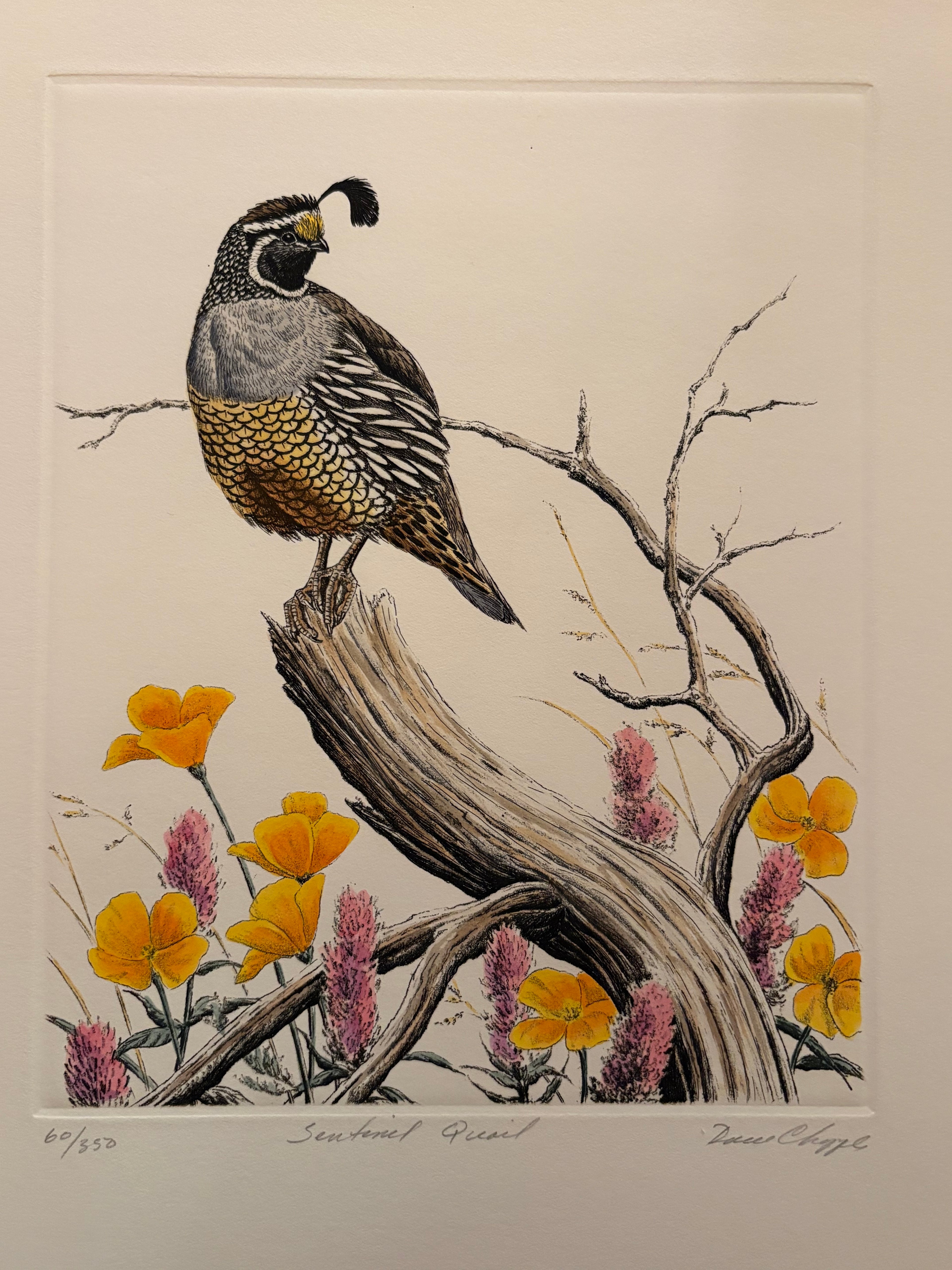 Prints By Dave Chapple
