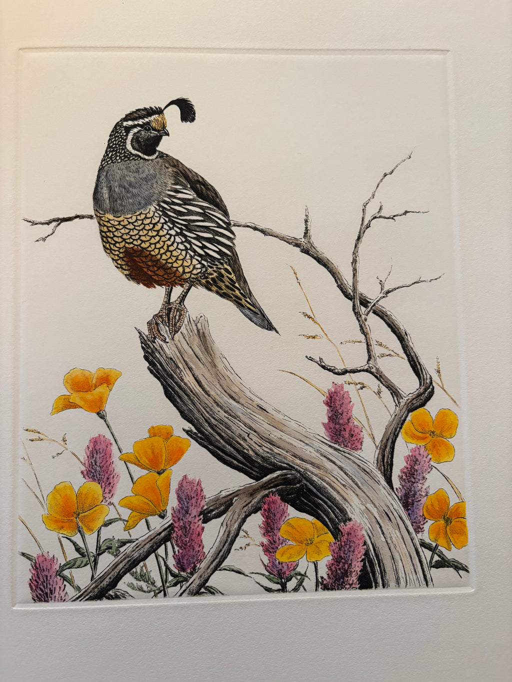 Prints By Dave Chapple