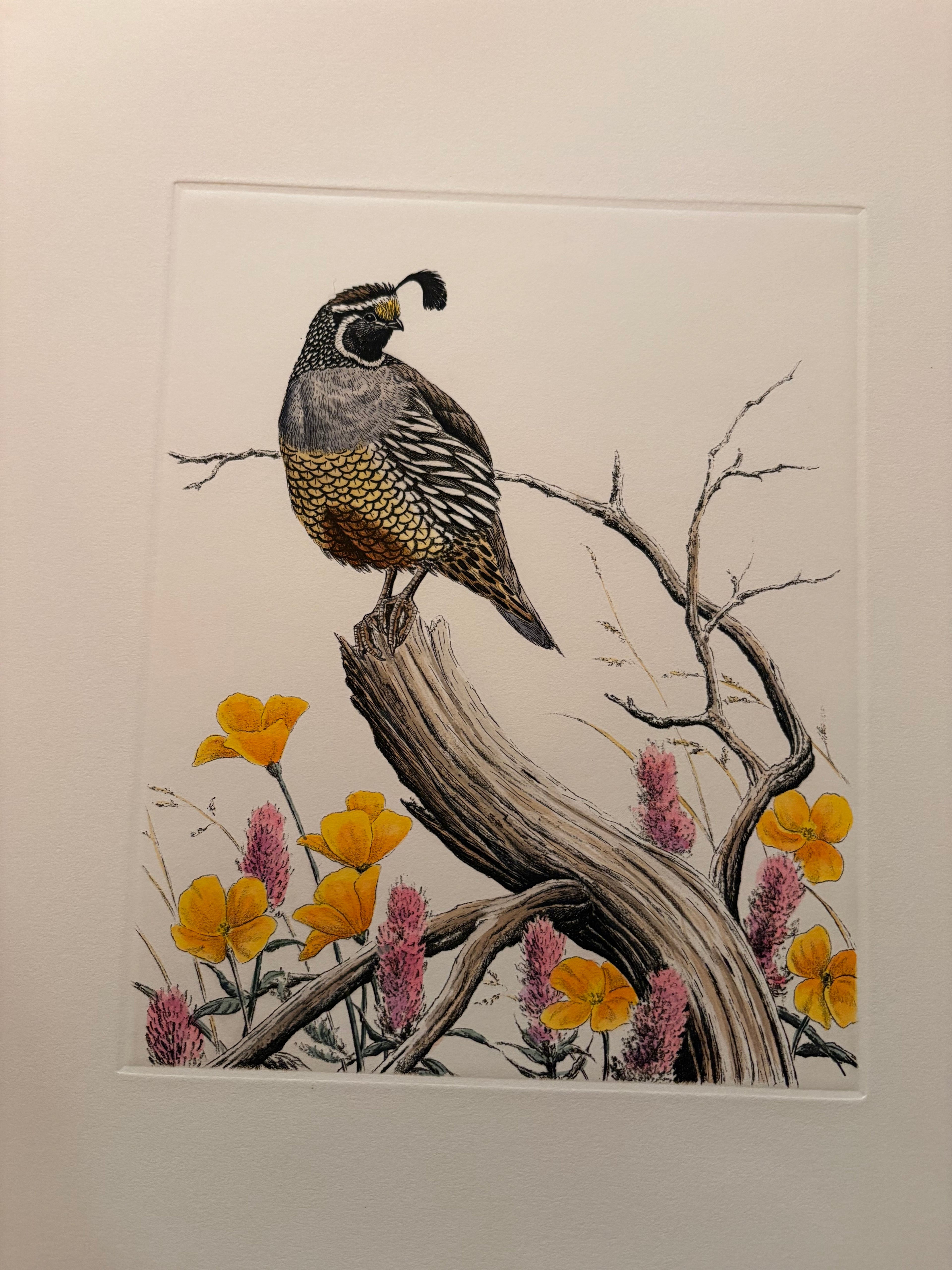 Prints By Dave Chapple