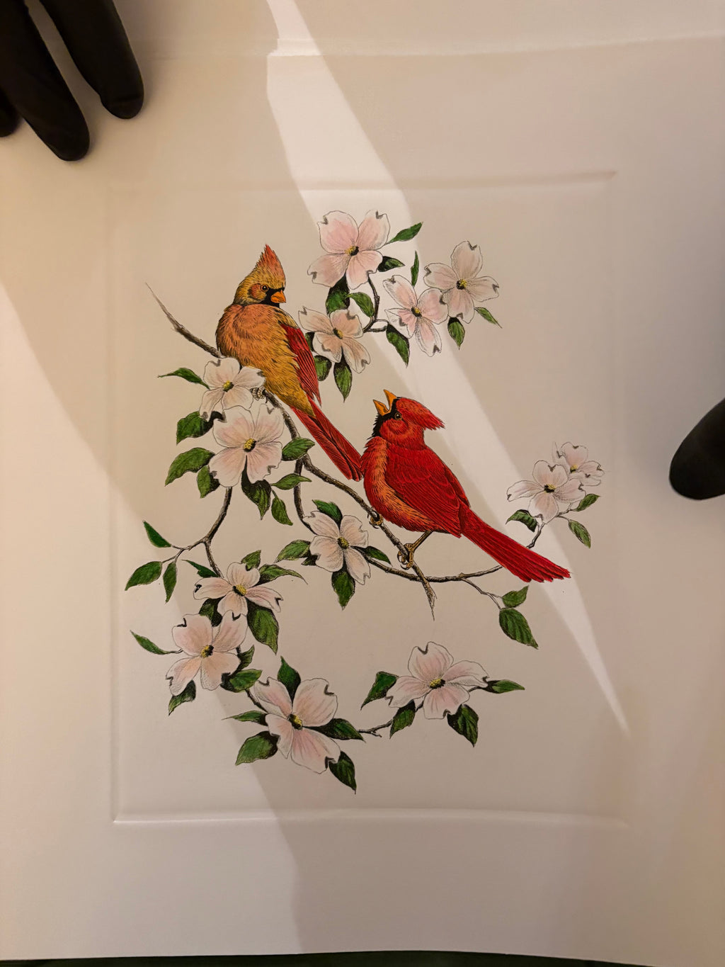 Prints By Dave Chapple