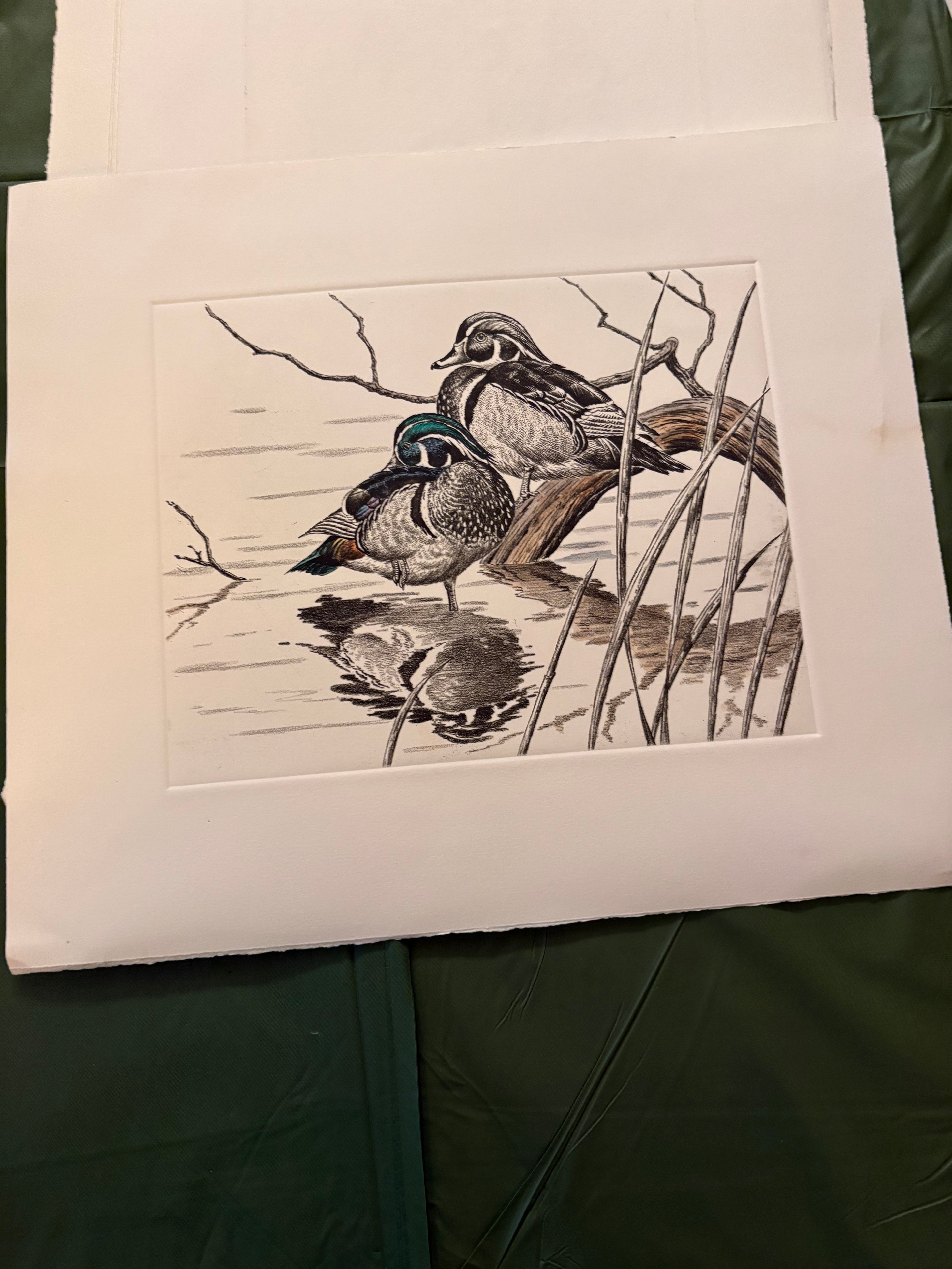 Prints By Dave Chapple