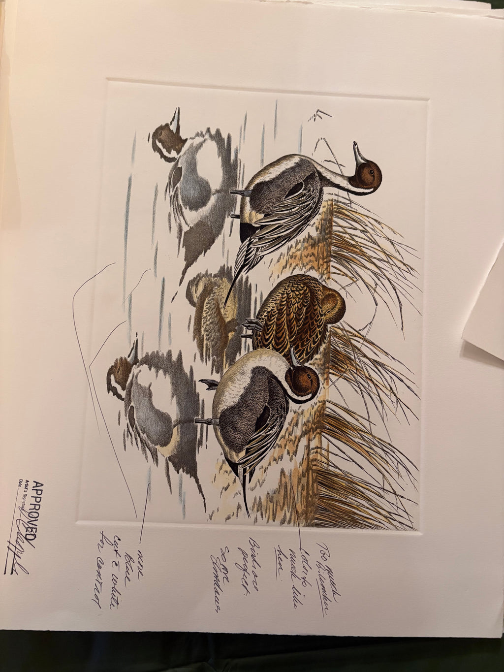Prints By Dave Chapple