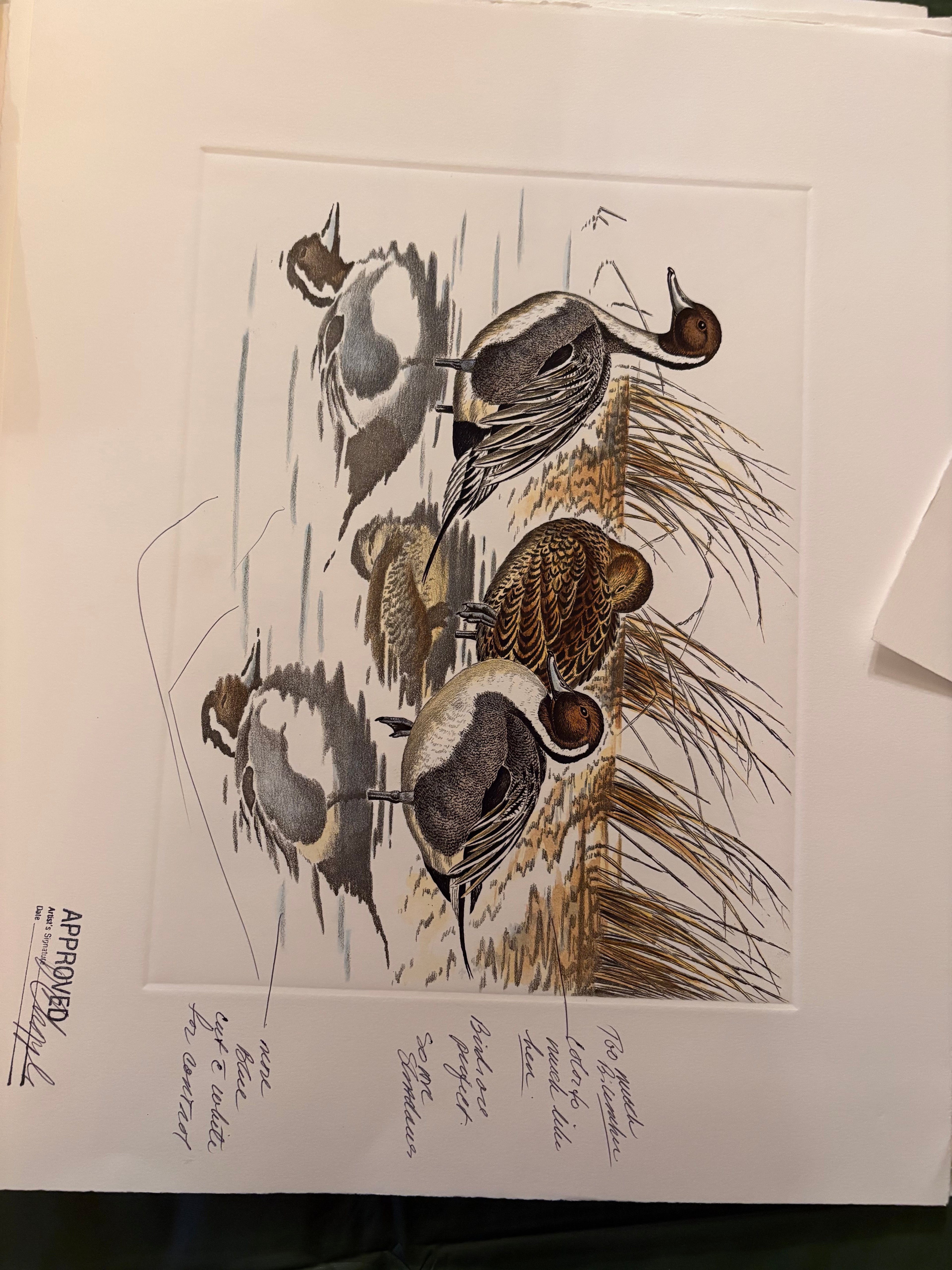 Prints By Dave Chapple