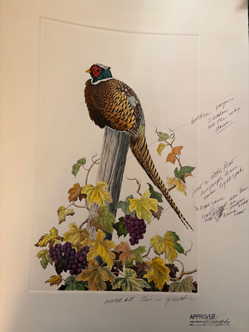 Prints By Dave Chapple