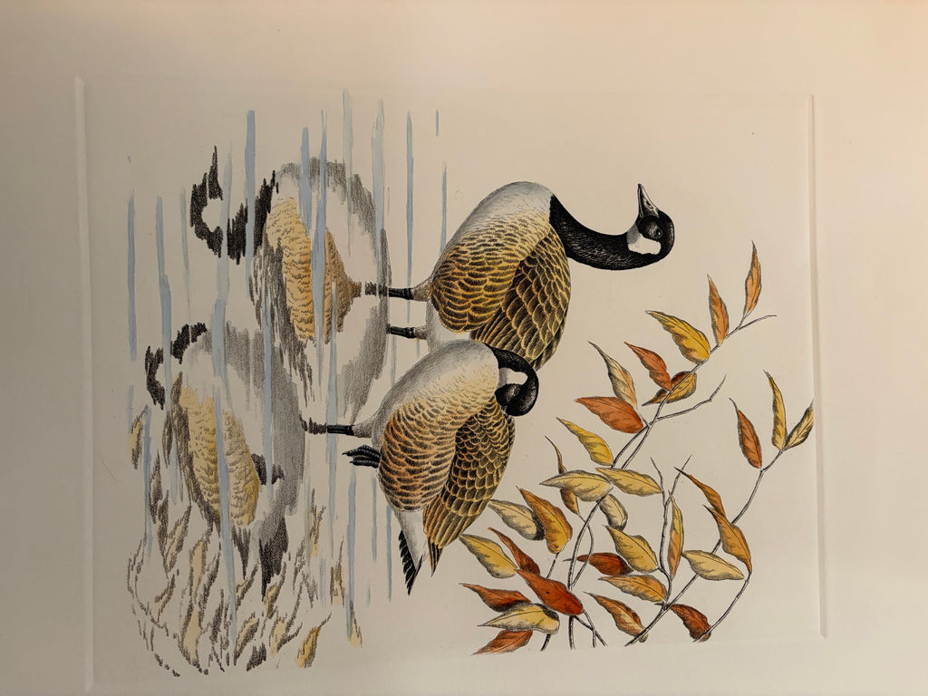 Prints By Dave Chapple