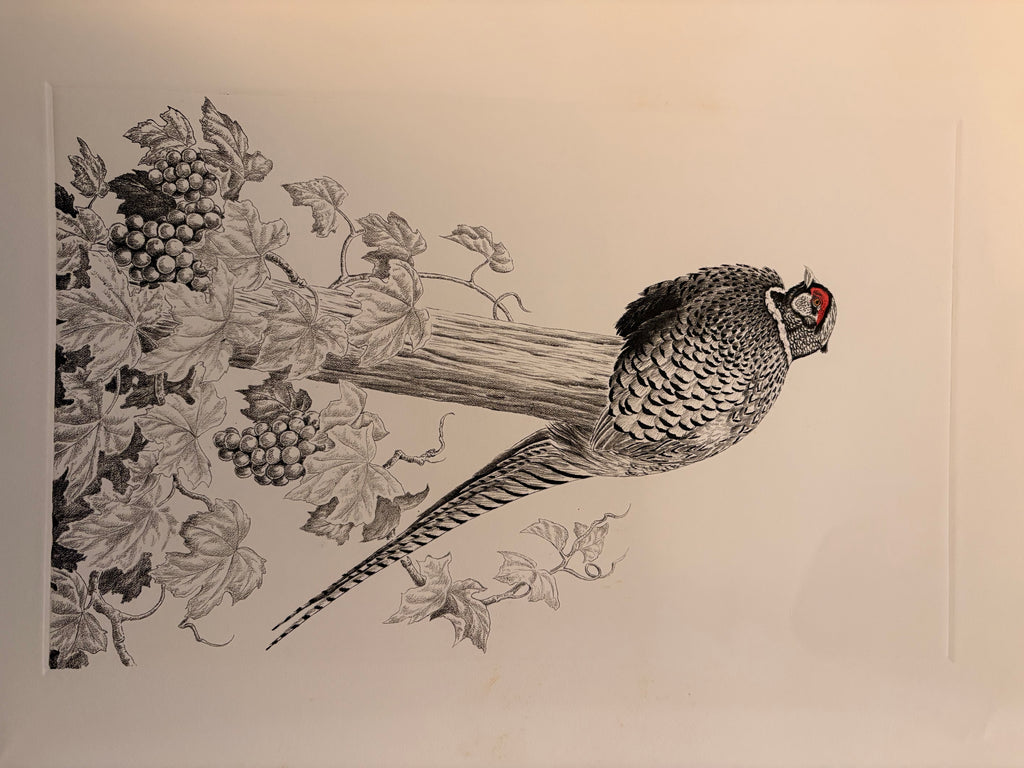 Prints By Dave Chapple