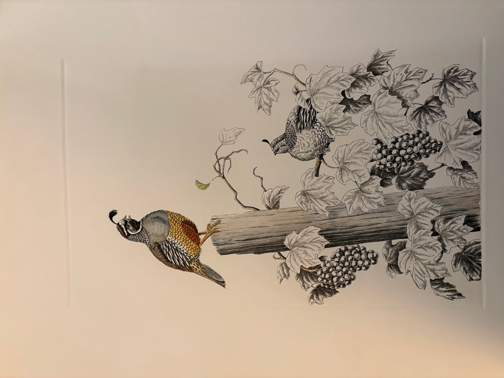 Prints By Dave Chapple