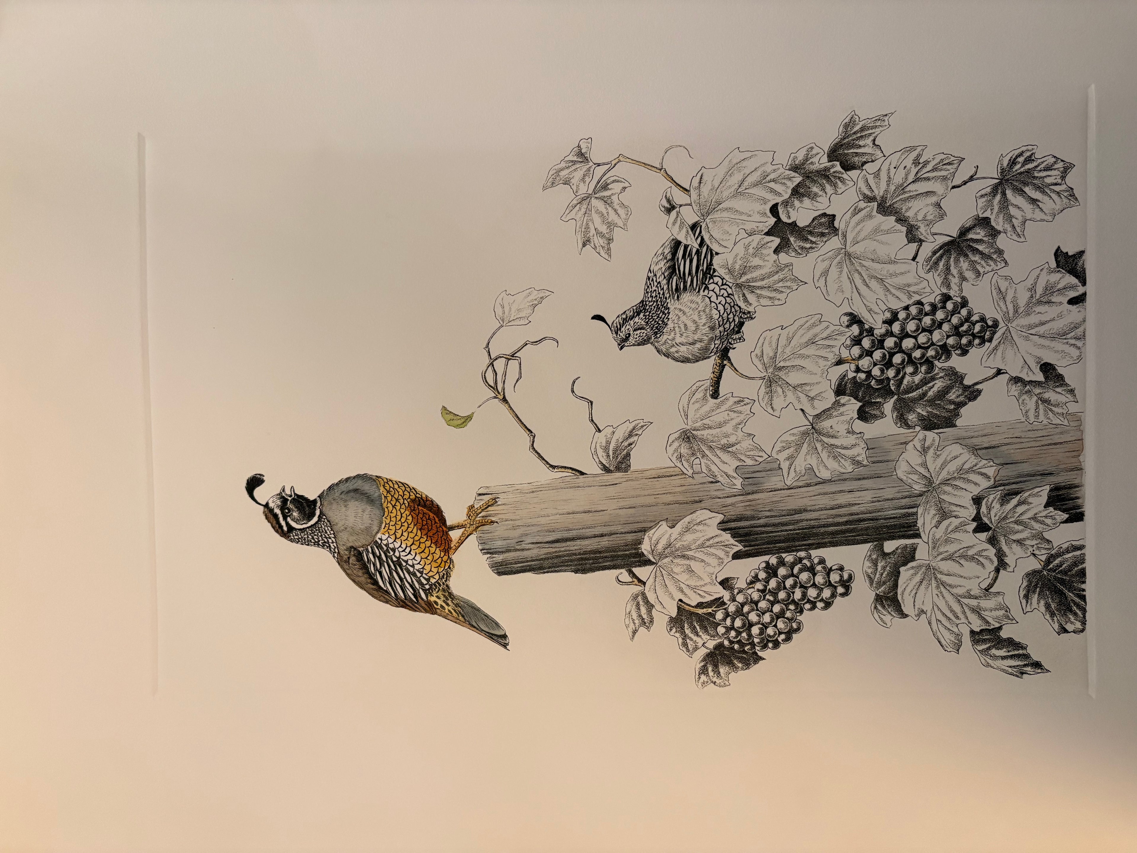 Prints By Dave Chapple