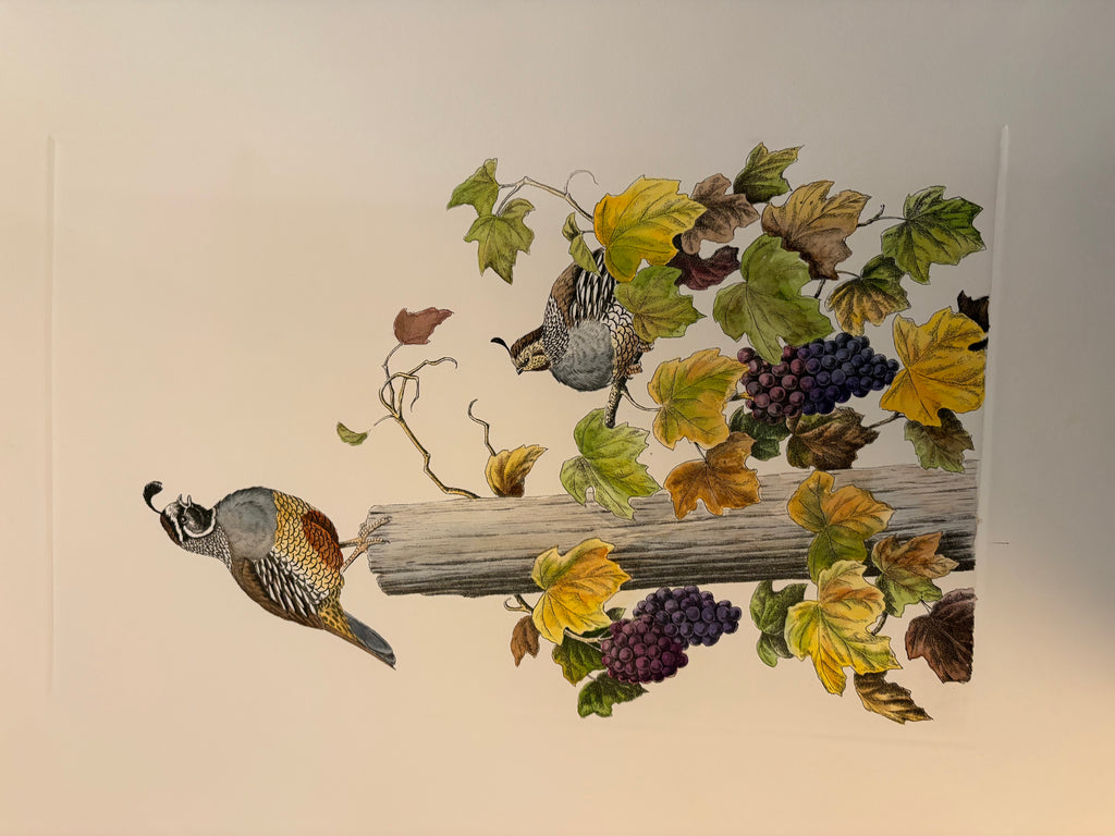 Prints By Dave Chapple