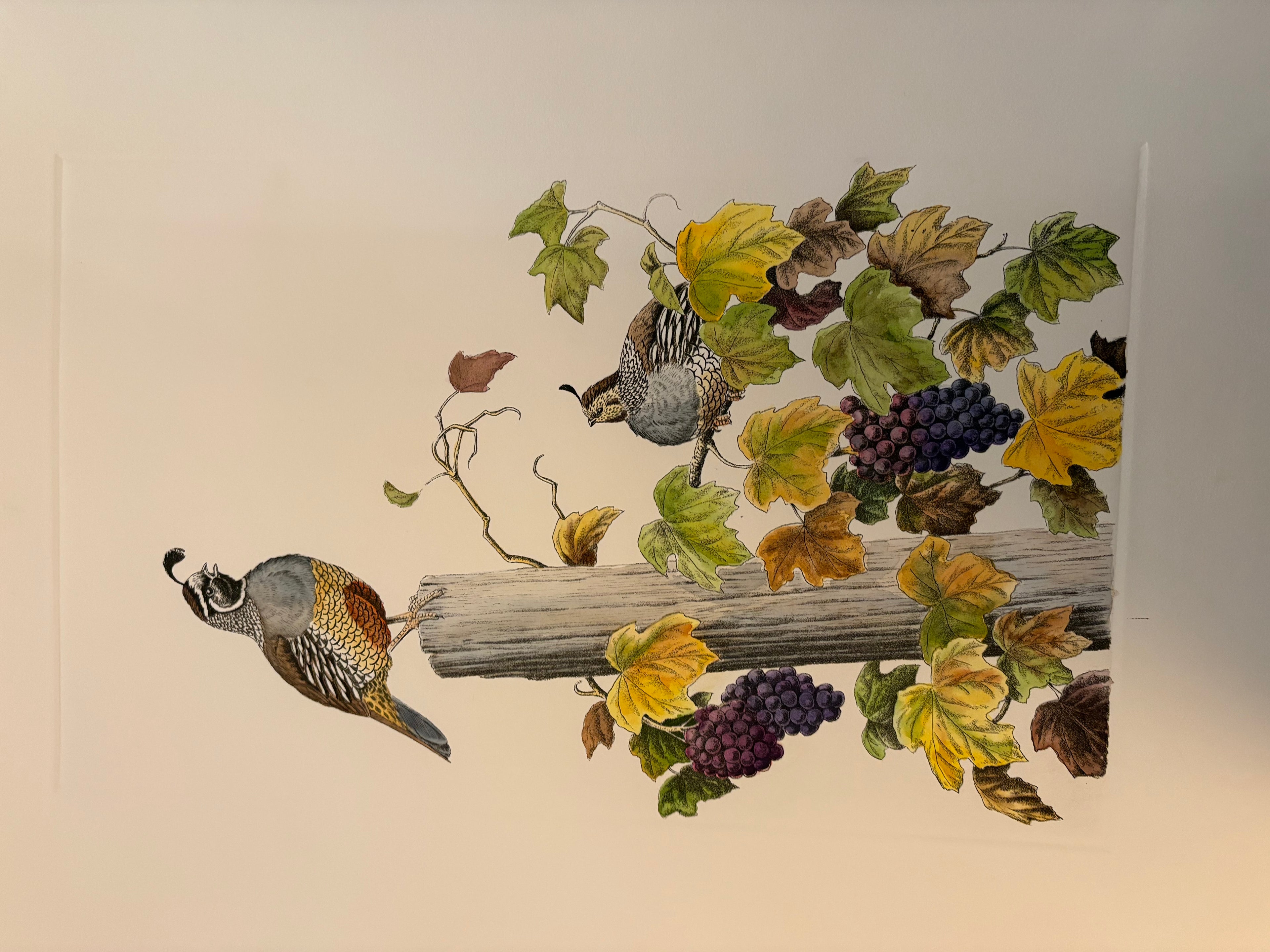 Prints By Dave Chapple