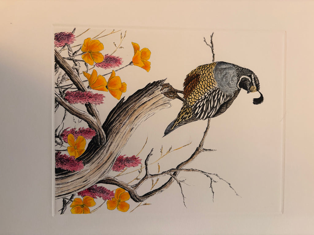 Prints By Dave Chapple