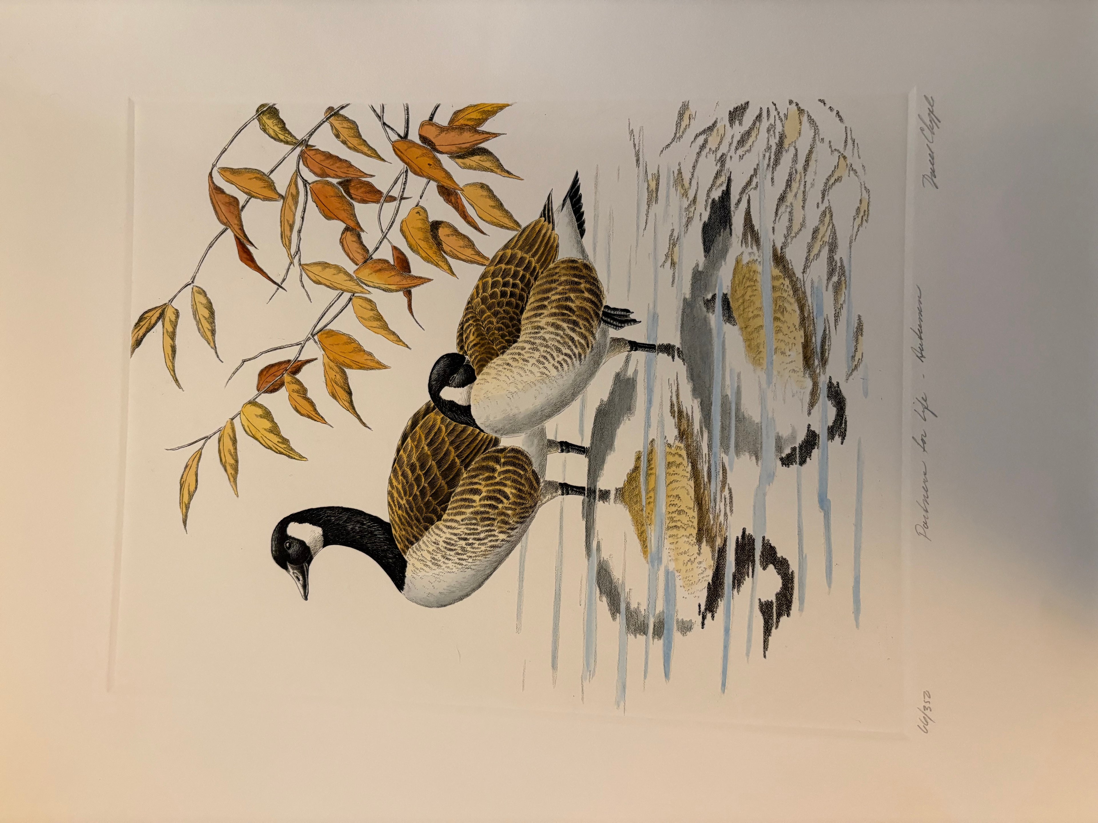 Prints By Dave Chapple