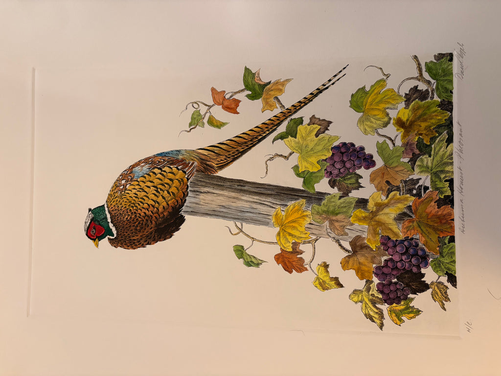 Prints By Dave Chapple
