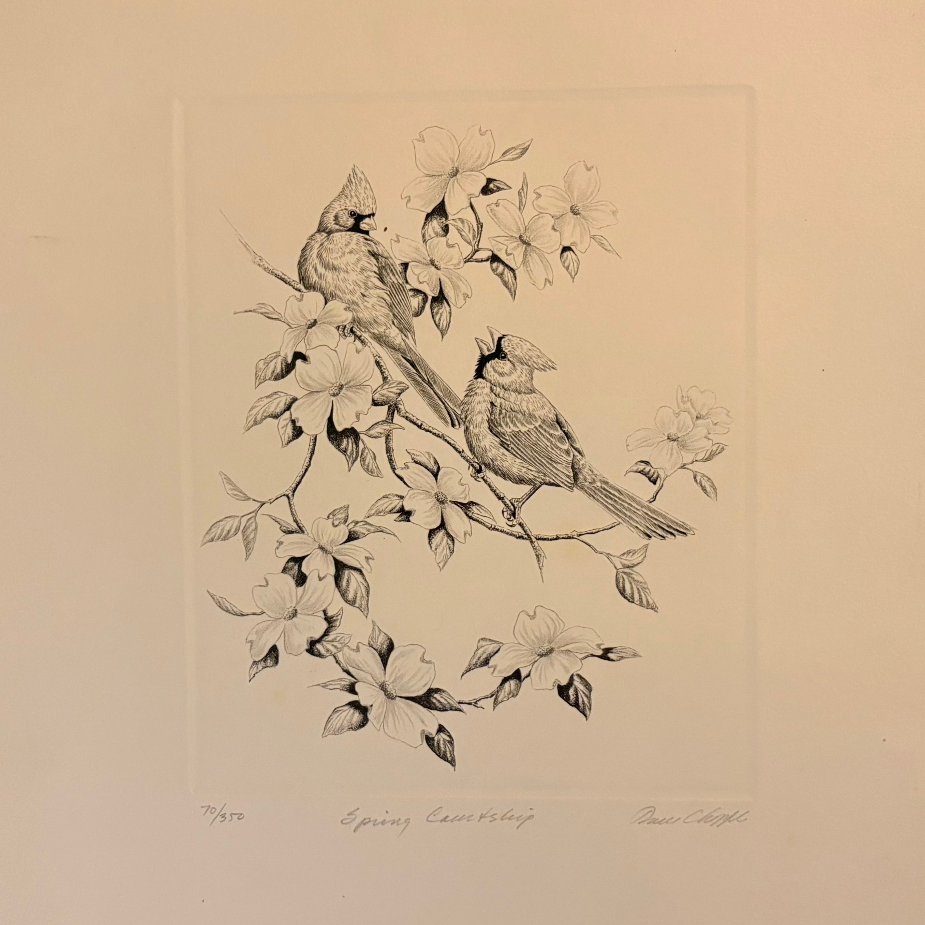 Illustration of two birds on a branch with flowers on a beige background